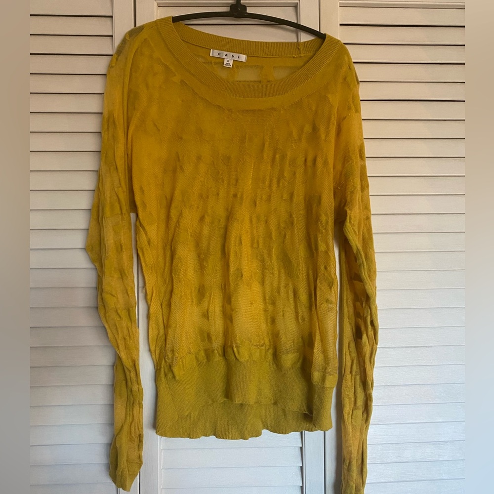Cabi sheer sweater size small